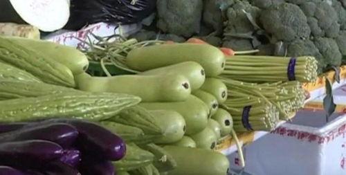 小瓜吃后有苦味,揭秘苦味生成背后的科学原理