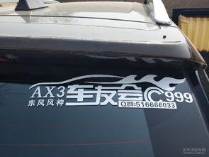 车贴吃瓜猫,揭秘网络红人背后的趣味故事