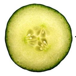 吃瓜落需要剁碎吗,剁碎还是整颗享用？揭秘瓜果食用新风尚