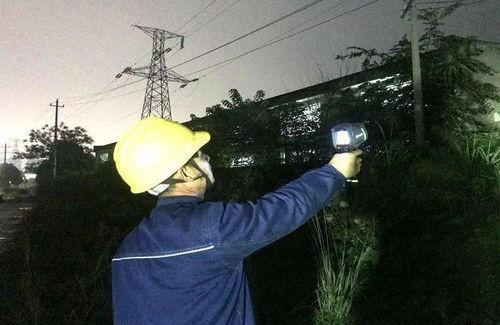 广西电力吃瓜,瓜分能源市场,助力绿色发展