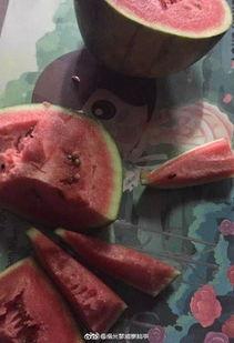 福州师范吃瓜,一场“吃瓜”事件背后的校园生活点滴