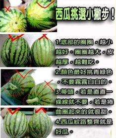 学习系统吃瓜学习,轻松掌握知识的新潮流