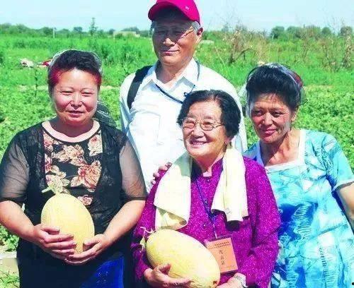 国外教授吃瓜,揭秘异国文化中的趣味瞬间