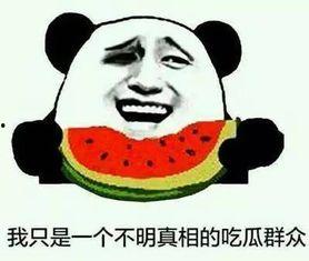 吃瓜可笑事件,揭秘网络事件背后的欢乐与争议