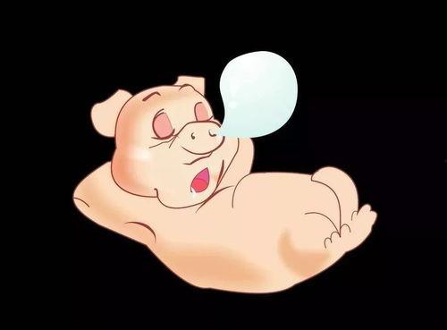 粉红的猪吃瓜,粉红猪的瓜田奇遇记