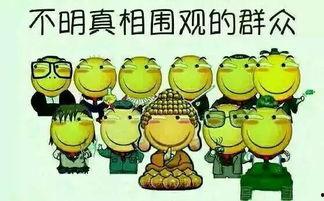 好队友吃瓜,揭秘娱乐圈背后的真实故事