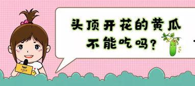 吃瓜不顶饿,轻松应对饥饿挑战