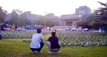 金乡吃瓜事件跳舞