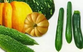 梁杰吃瓜,揭秘娱乐圈背后的那些事儿