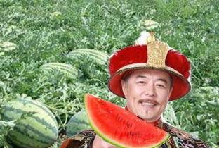 乾隆吃瓜事件过程,一场宫廷与民间的趣味互动