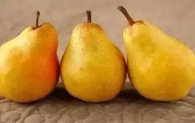 吃蜜不吃姜_吃果不吃瓜