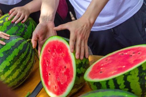 学院吃瓜前几年,吃瓜背后的故事与真相