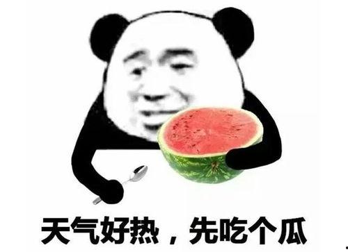 发钱吃瓜表情包,欢乐无限表情包来袭！