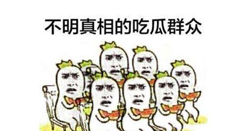 吃瓜群众副首领,网络红人的崛起与影响力